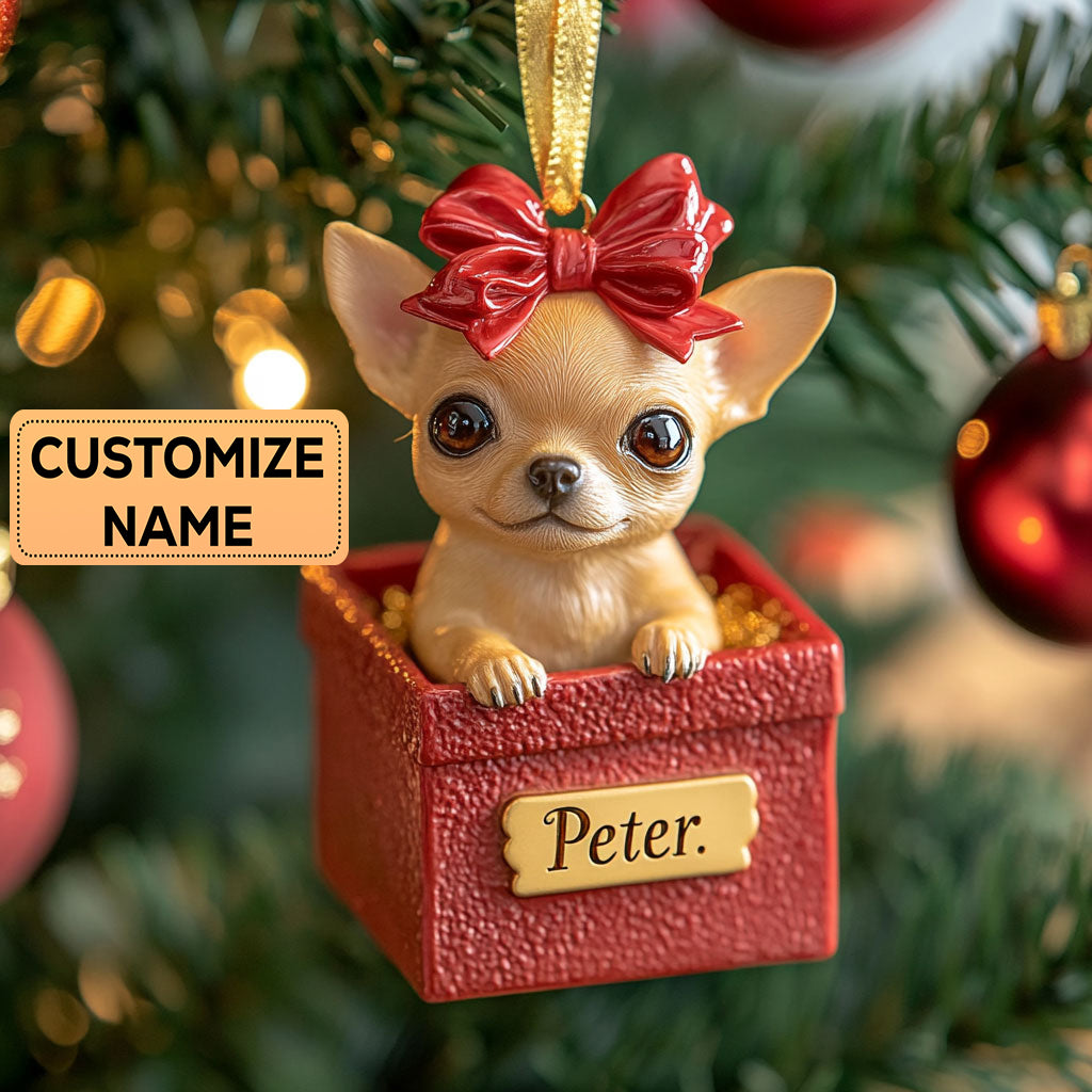 Joy Parcel CP2911038CL Personalized Christmas Ornament