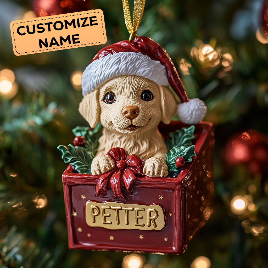 Golden Present CW2411028CL Personalized Christmas Ornament