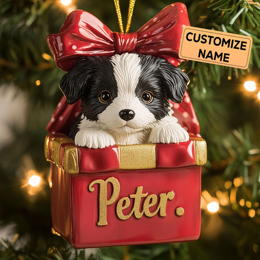 Puppy Present CP2911002CL Personalized Christmas Ornament