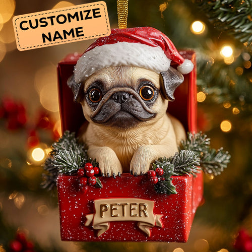 Pug Christmas CW2411040CL Personalized Christmas Ornament