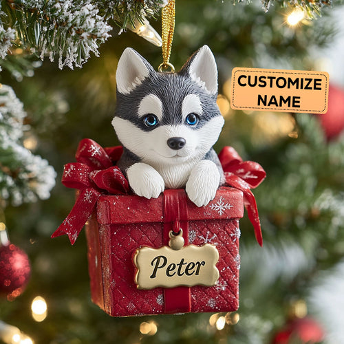 Snowy Parcel CP0112031CL Personalized Christmas Ornament