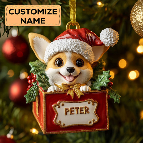 Corgi Box CW2411008CL Personalized Christmas Ornament