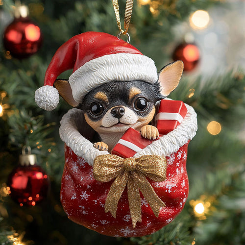 Winter Chi CP2010020CL Christmas Ornament
