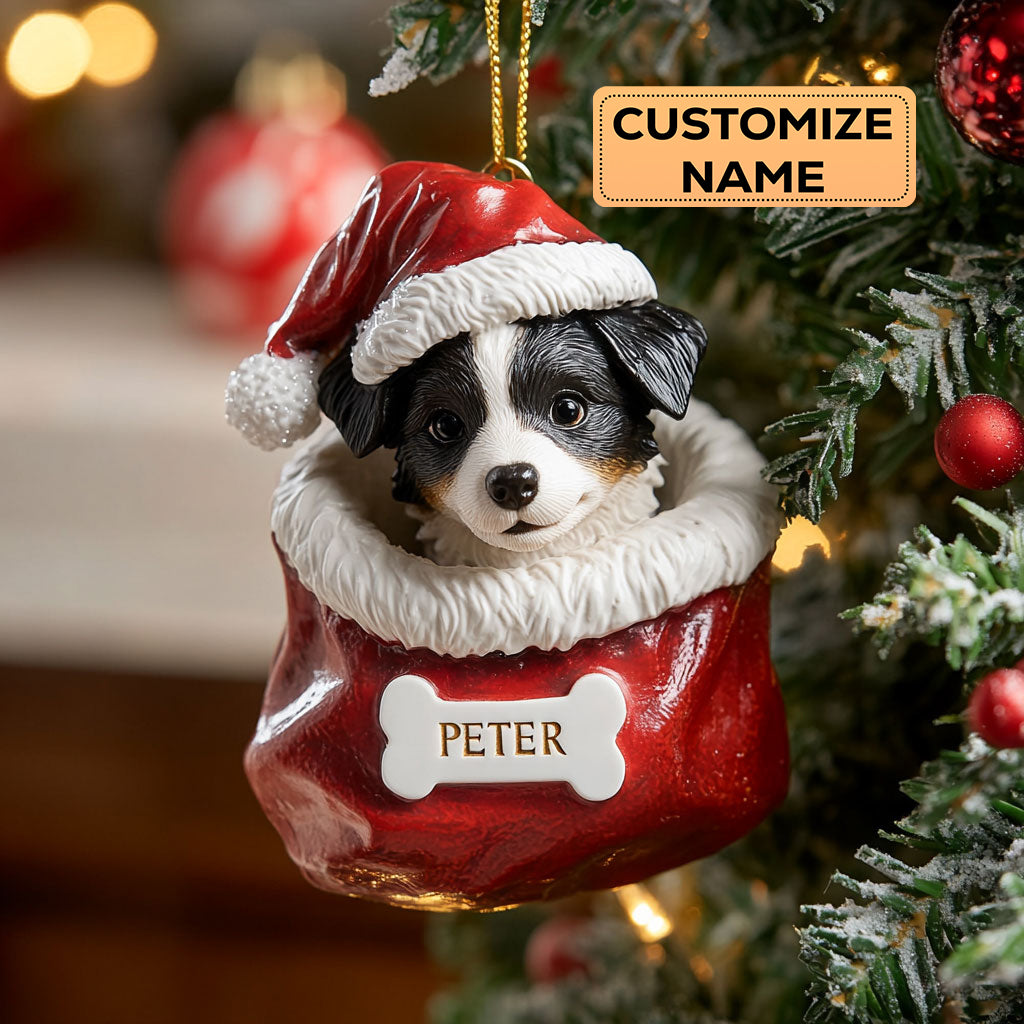 Border Collie Christmas CW0412001CL Personalized Christmas Ornament