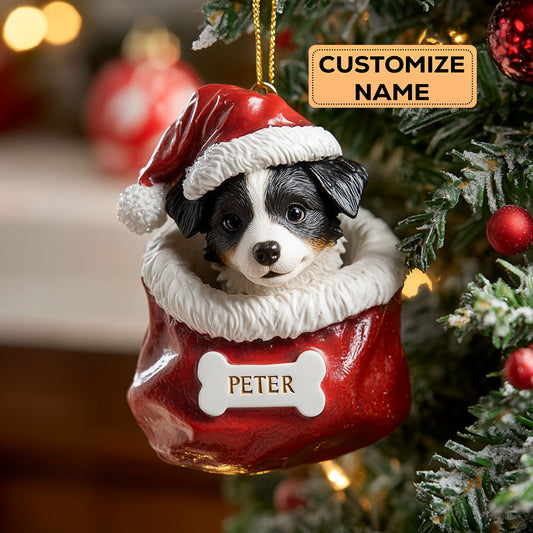 Border Collie Christmas CW0412001CL Personalized Christmas Ornament