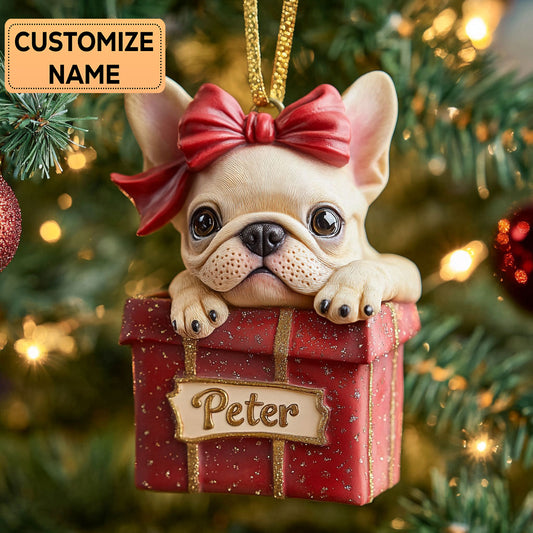 Puppy Parcel CP2911016CL Personalized Christmas Ornament