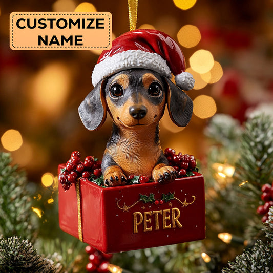 Dachshund Box CW2411013CL Personalized Christmas Ornament