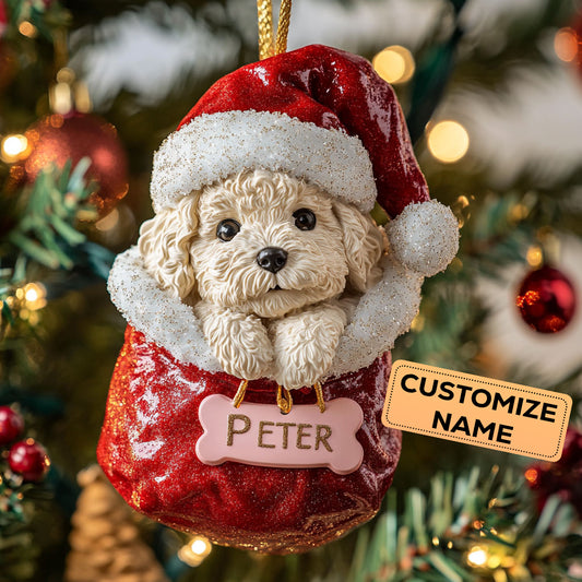 Poodle Glow CW0412033CL Personalized Christmas Ornament