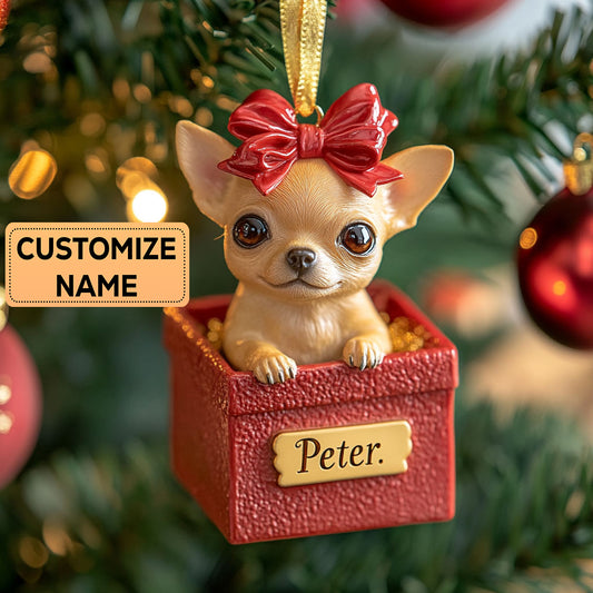 Joy Parcel CP2911038CL Personalized Christmas Ornament