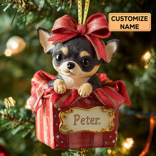 Tiny Present CP2911024CL Personalized Christmas Ornament