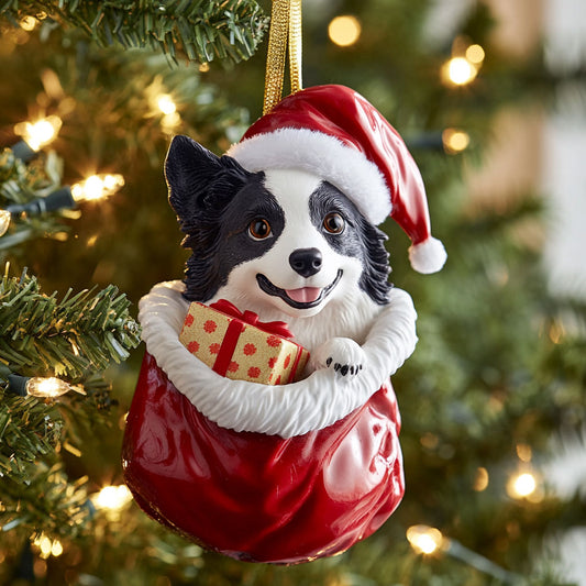 Gift Collie CP0312062CL Christmas Ornament