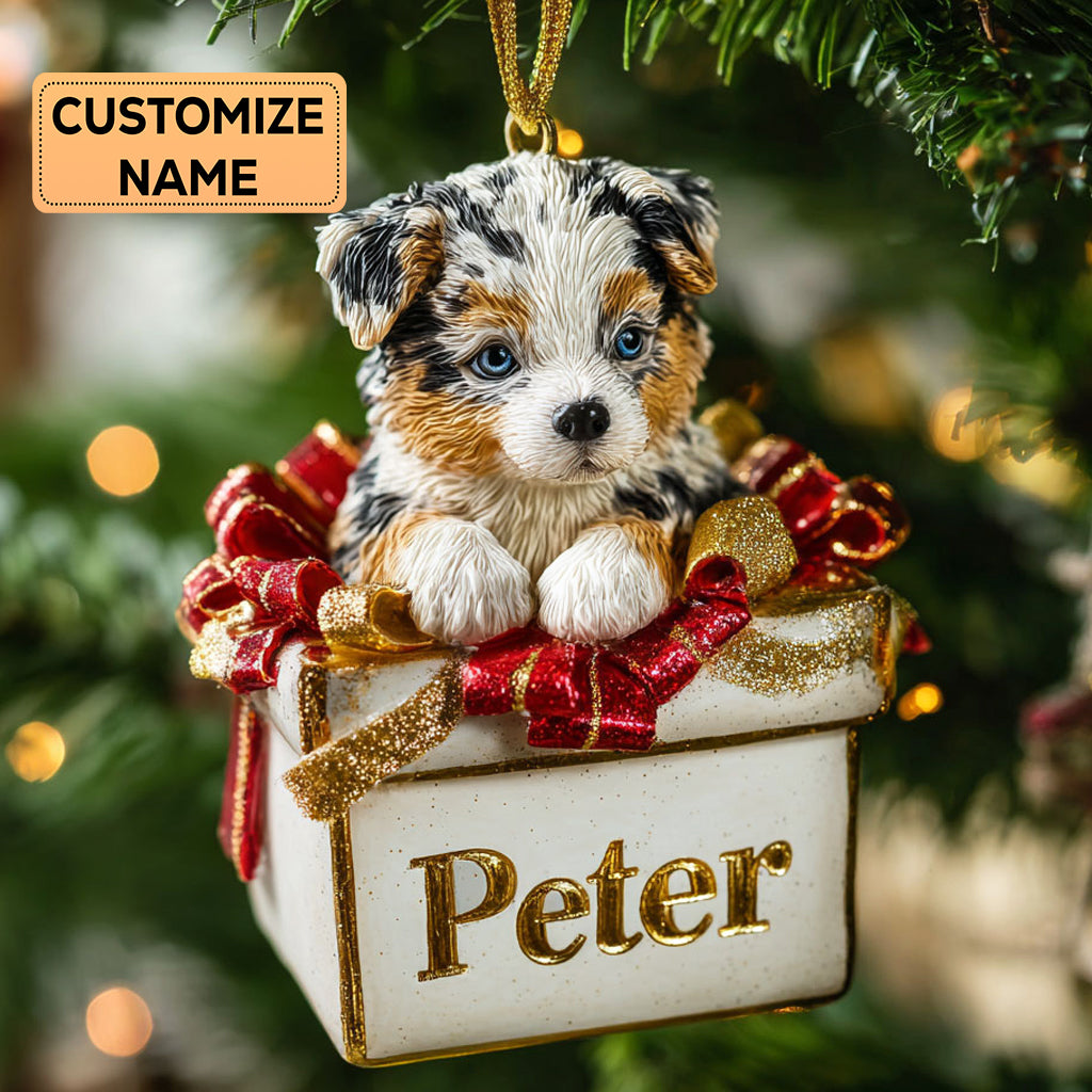 Present Paws CP0112043CL Personalized Christmas Ornament