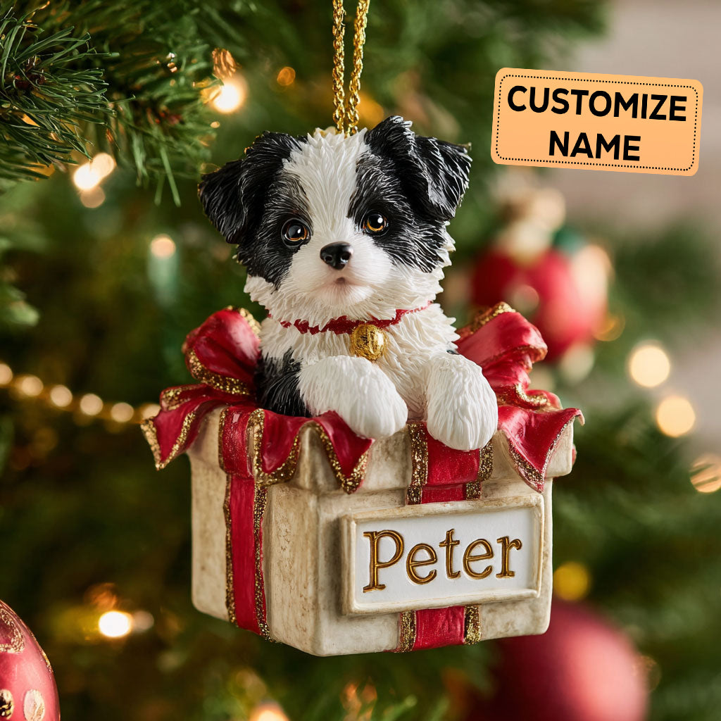 Collie Box CP2911013CL Personalized Christmas Ornament