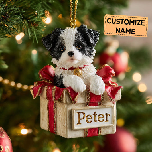 Collie Box CP2911013CL Personalized Christmas Ornament