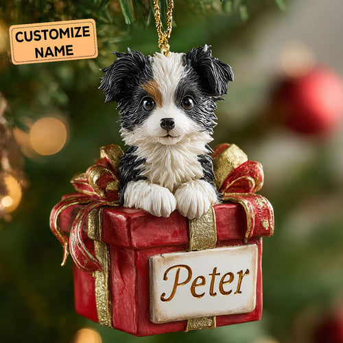 Gift Collie CP2911001CL Personalized Christmas Ornament