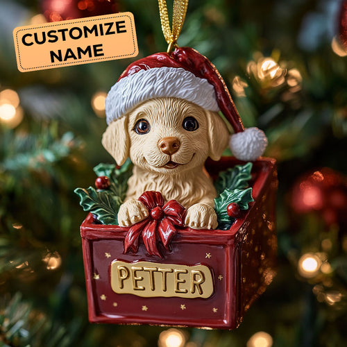 Golden Present CW2411028CL Personalized Christmas Ornament