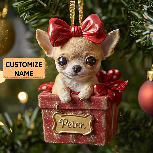 Mini Gift CP2911034CL Personalized Christmas Ornament