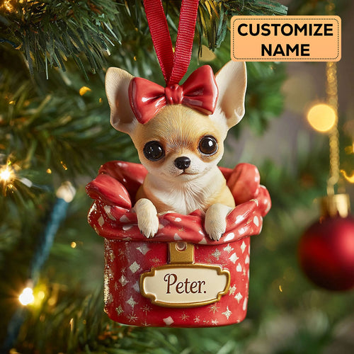 Charming Parcel CP2911028CL Personalized Christmas Ornament