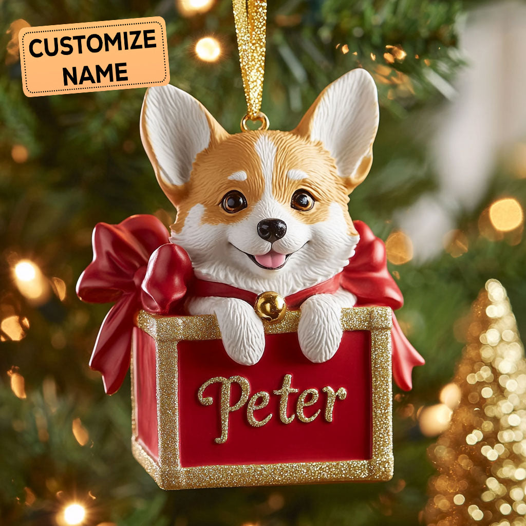 Happy Parcel CP0112011CL Personalized Christmas Ornament