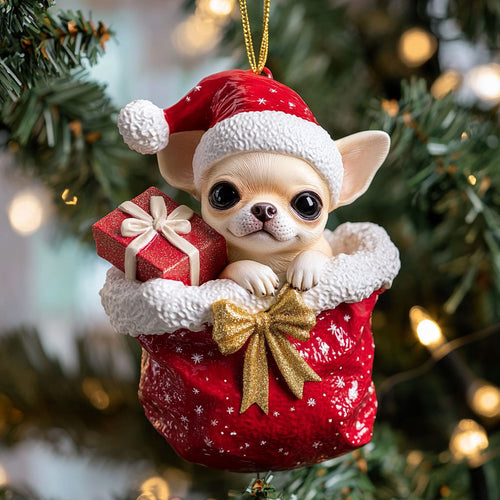 Happy Paw CP2010013CL Christmas Ornament