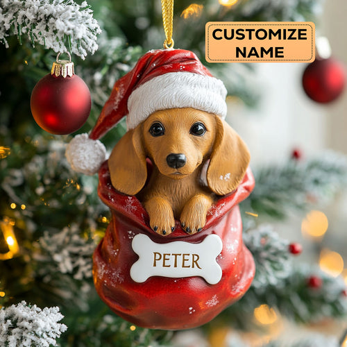 Dachshund Holiday CW0412016CL Personalized Christmas Ornament