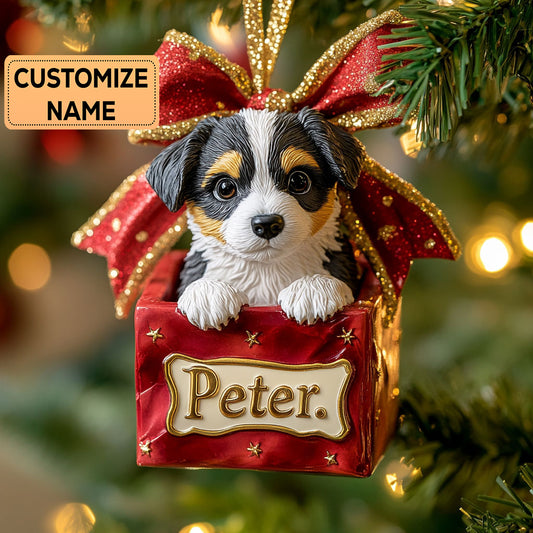 Aussie Parcel CP0112039CL Personalized Christmas Ornament