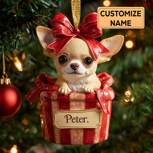 Pocket Present CP2911036CL Personalized Christmas Ornament