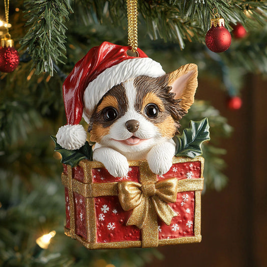 Fluffy Gift CP2210074CL Christmas Ornament