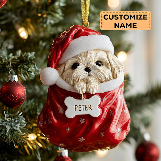 Shih Tzu Holiday CW0412041CL Personalized Christmas Ornament