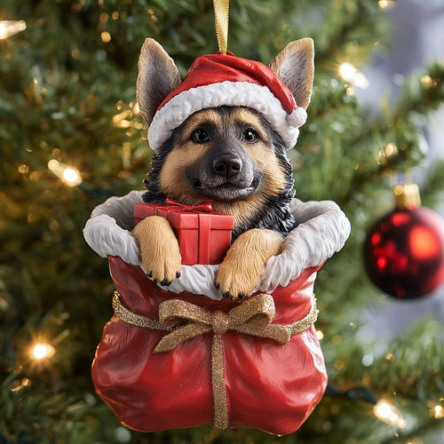 Noble Cheer CP2210029CL Christmas Ornament