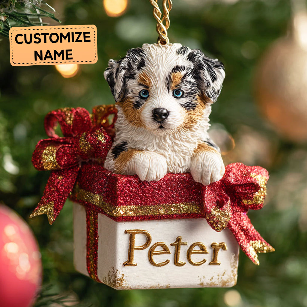 Aussie Twinkle CP0112042CL Personalized Christmas Ornament