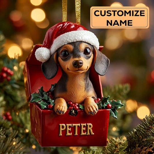 Dachshund Gift CW2411015CL Personalized Christmas Ornament