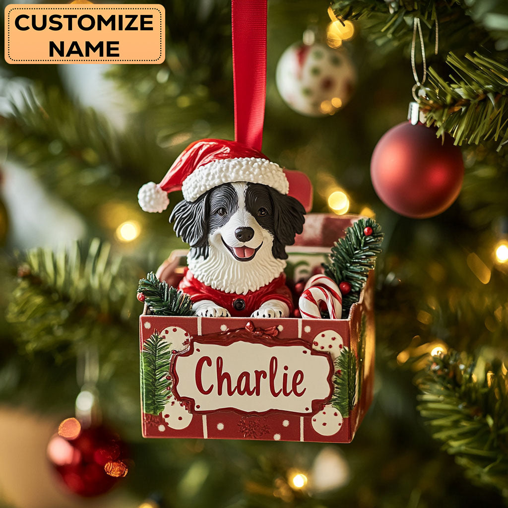 Border Collie Magic Night WN1510010CL Personalized Christmas Ornament