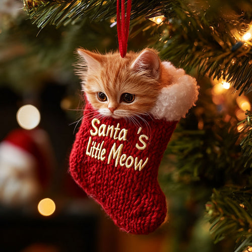 Jingle Paws WJ1110063CL Ornament